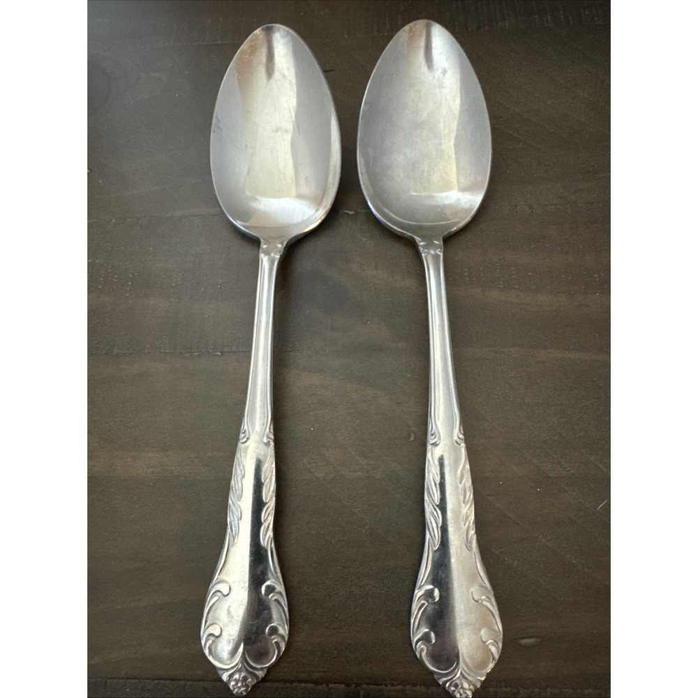 Queen's Court STAINLESS Solid Serving Spoon 8" Set Of 2 Unknown Maker Japan